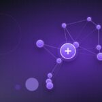 L'API REST WordPress expliquée : routes, schéma et découvrabilité
